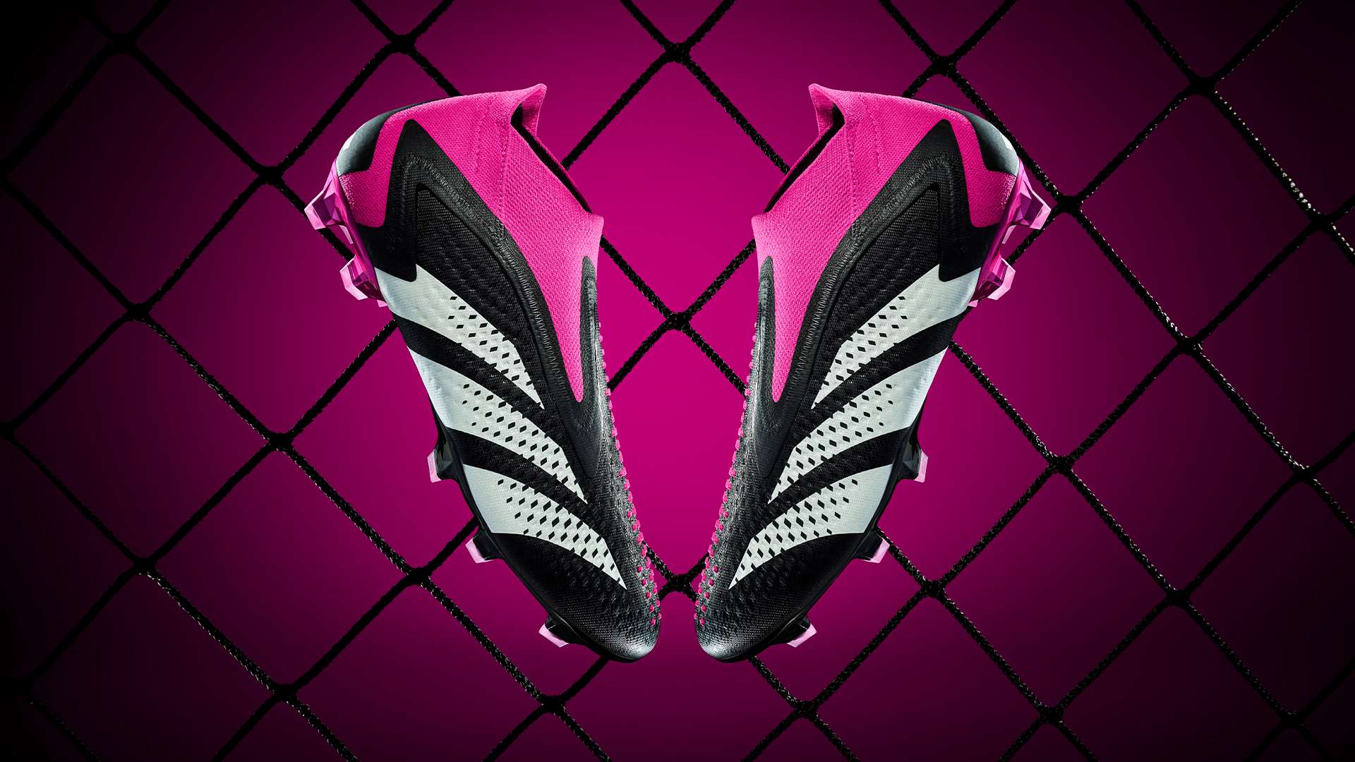 他的职业生 他的职业生