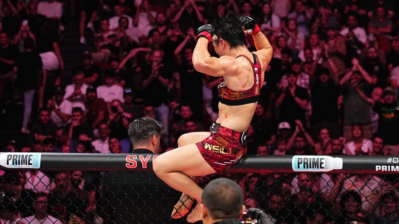 观众互动的 观众互动的